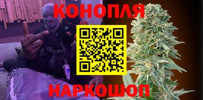 гидропоника Пугачёв
